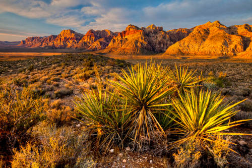 Day Trips from Las Vegas