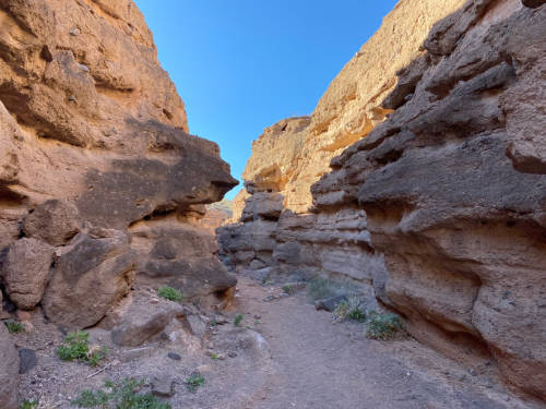 Best Hikes in Las Vegas