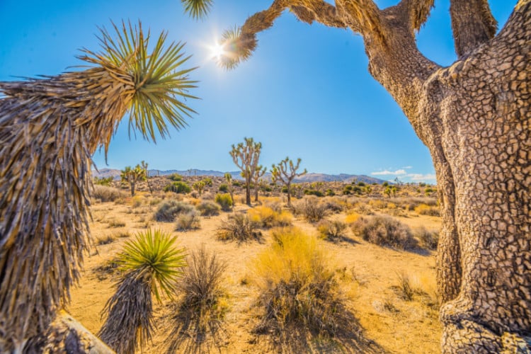 Las Vegas Fall Weather