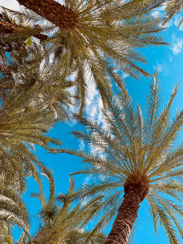 The Fantastic Weather of Las Vegas (Really!) | Las Vegas Weather Guide