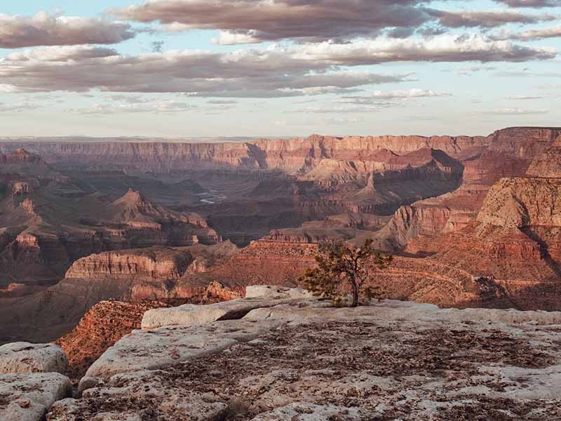 Overlooking the red ridges of the Grand Canyon