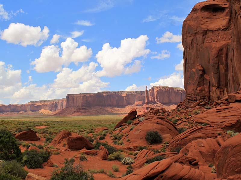 Red rock formations and vegetation at Monument Valley