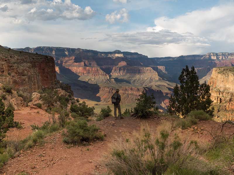 Man at Grand Canyon