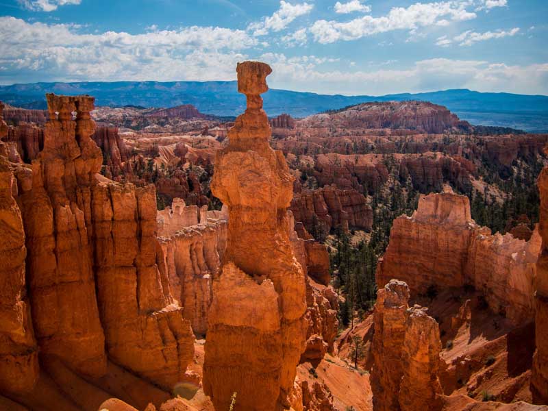 Hoodoo at Bryce Canyon