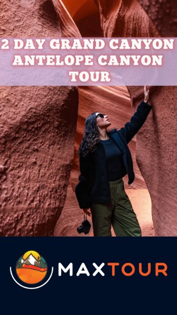 TikTok video poster 4