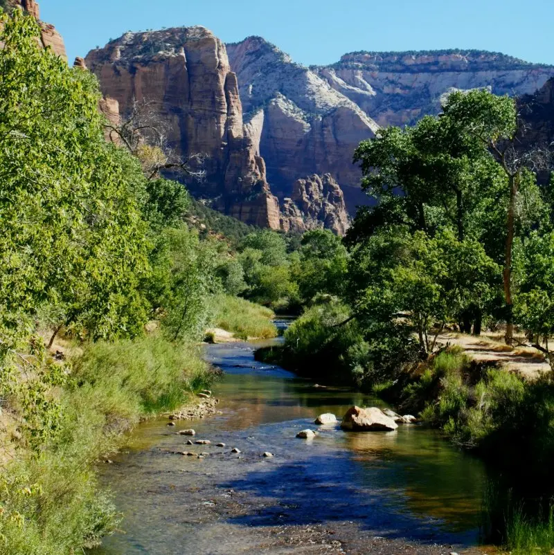 Virgin river Zion national park