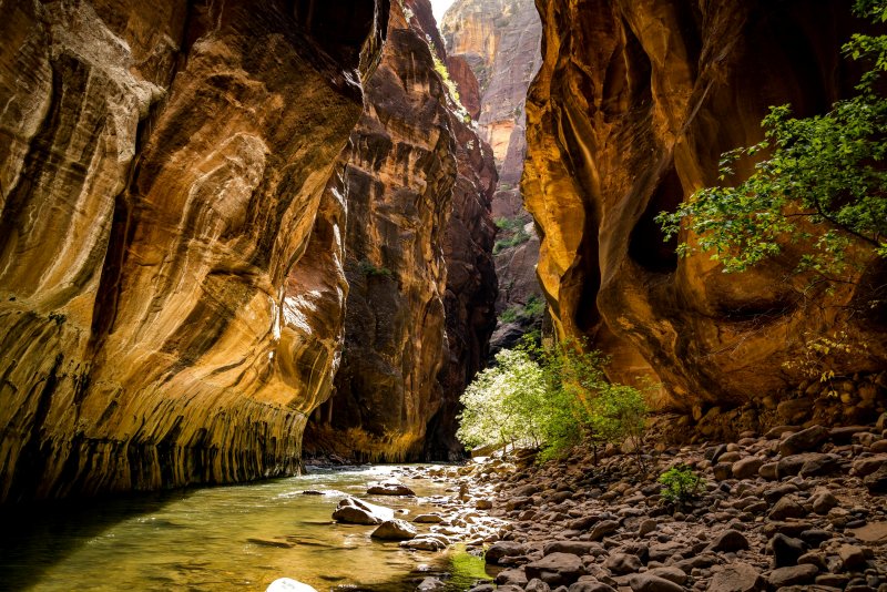 zion national park narrows