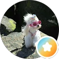 Chieh Avatar