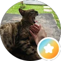 Sasa (Tsai) Avatar