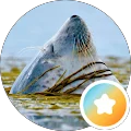 Weiguang GAO Avatar