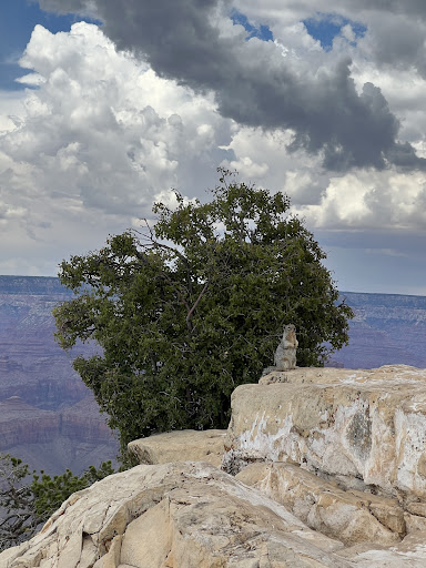 media thumbnail 2